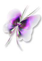 Violetter Schmetterling